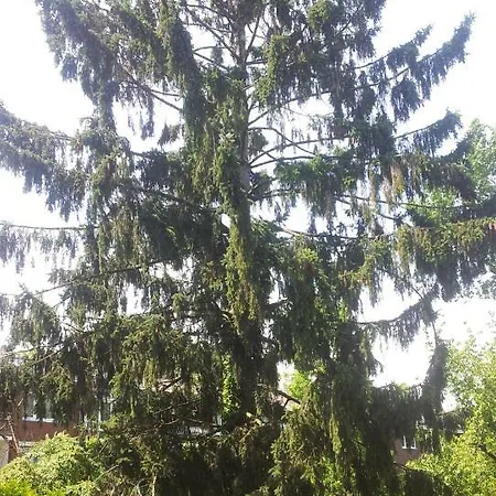 An Der Duessel